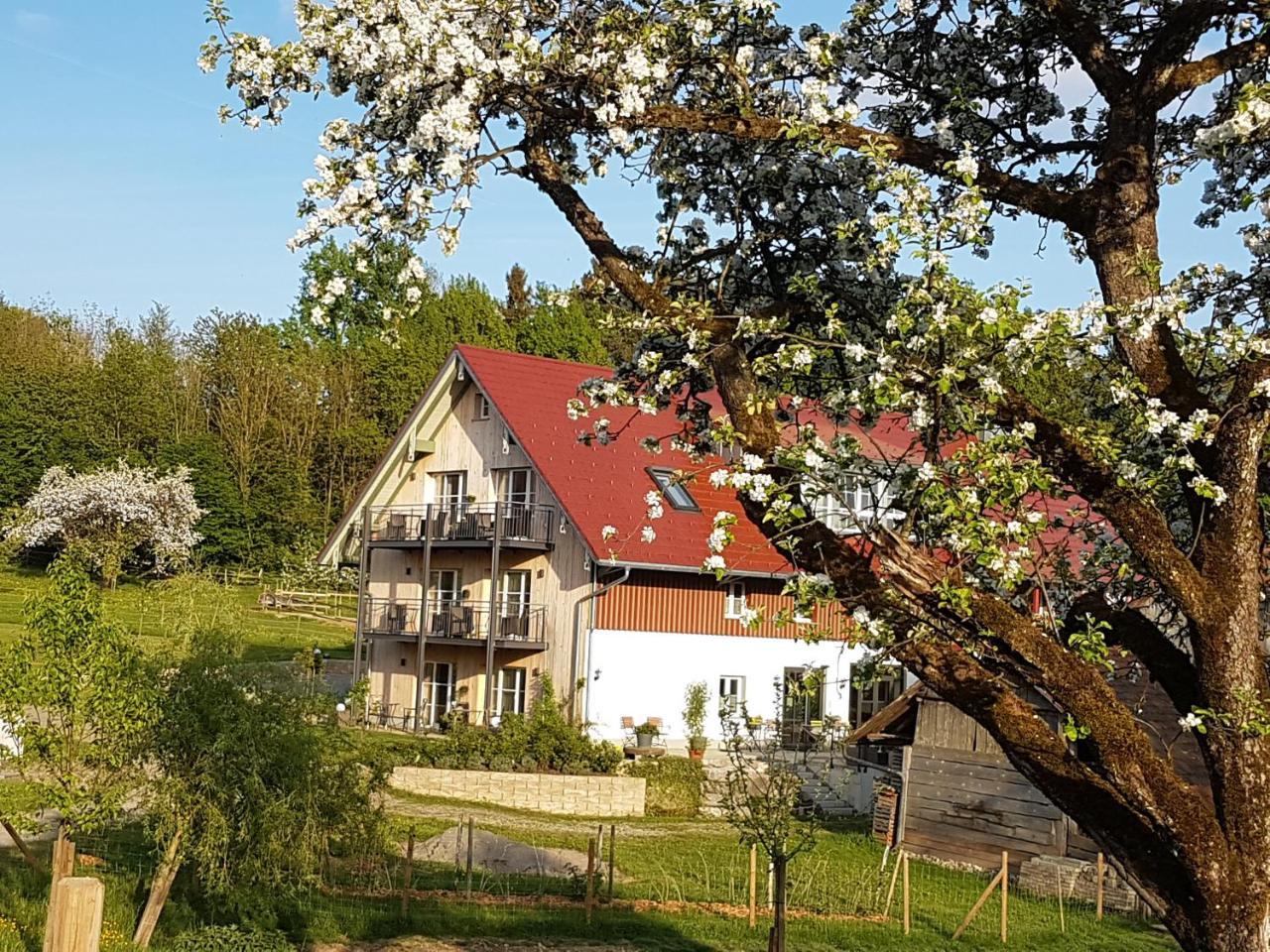 Отель Landgut Apfelrose Фридрихсхафен Экстерьер фото